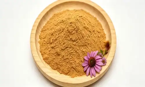 Echinacea Extract Powder Bulk Wholesale Buying Guide for Businesses